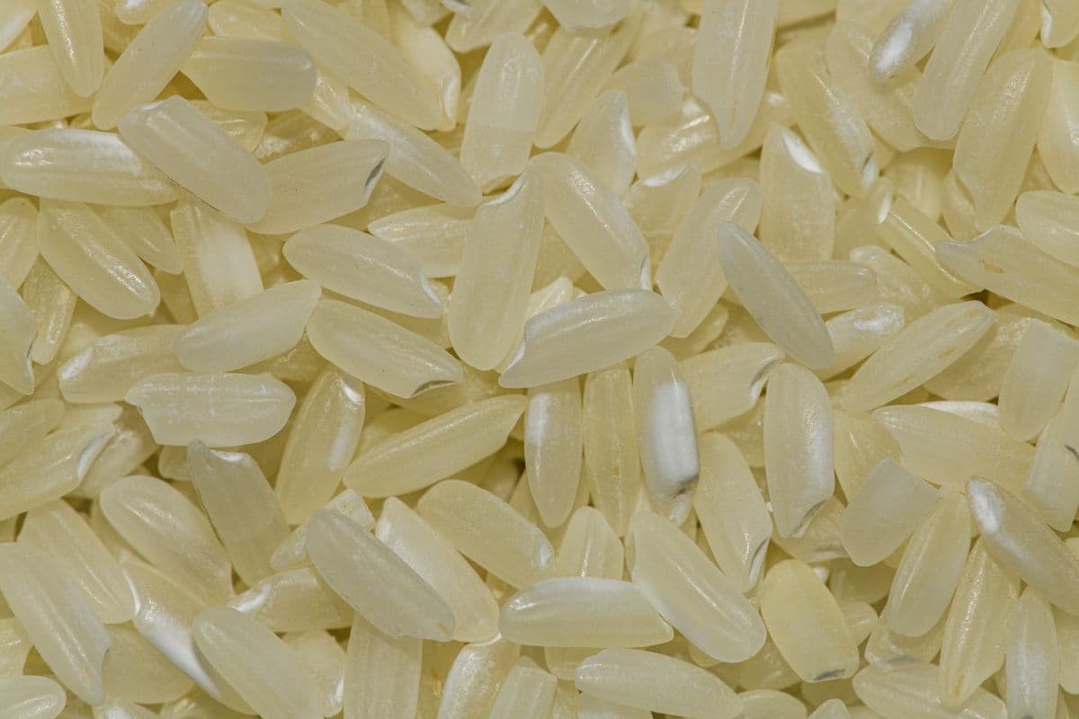 Arroz