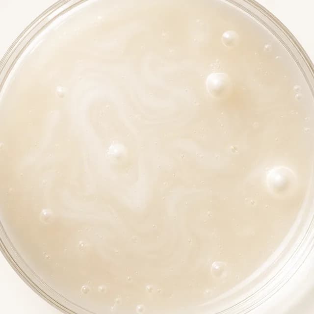 Bífida ferment